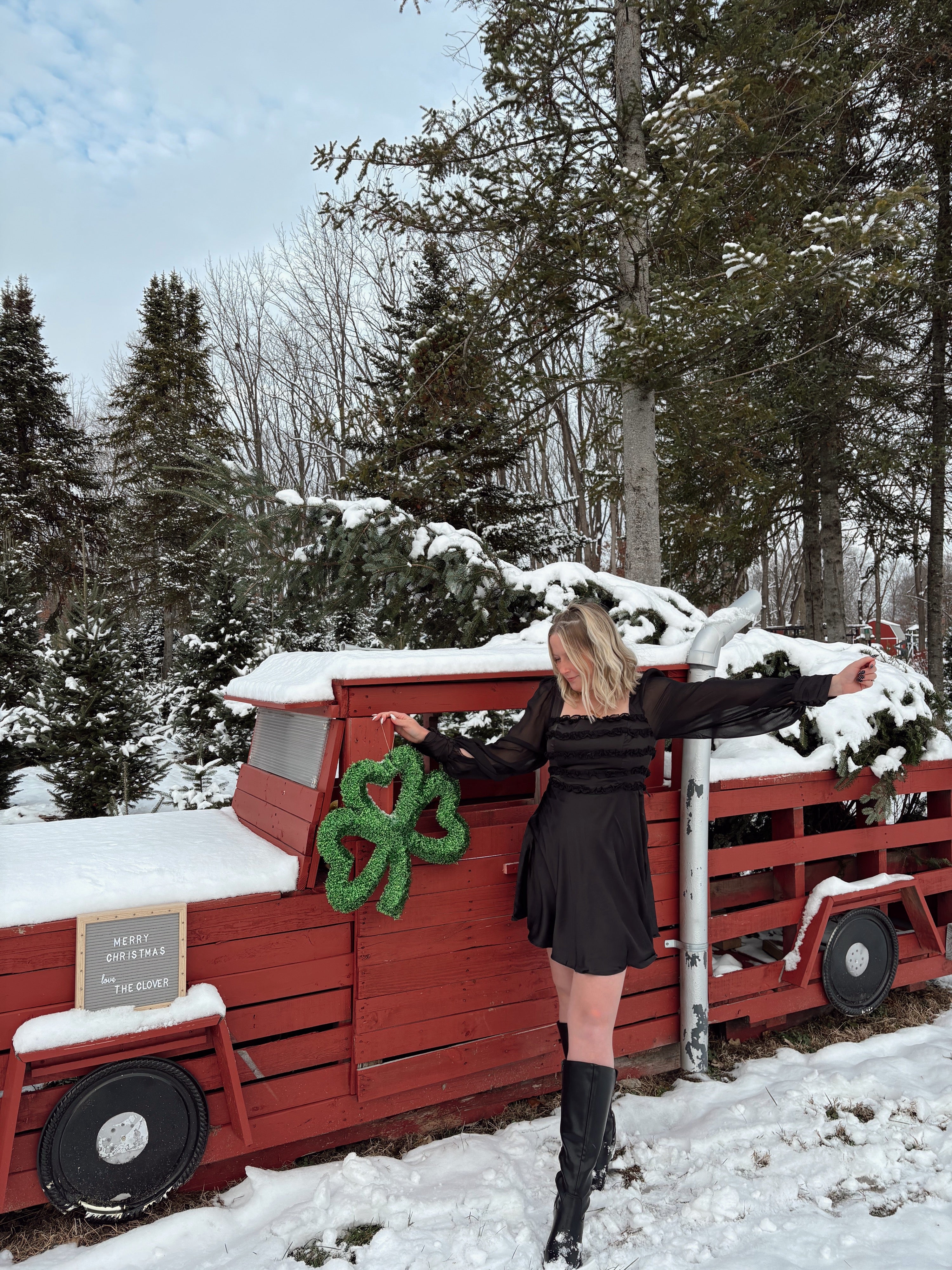 Midnight Mistletoe Satin Dress