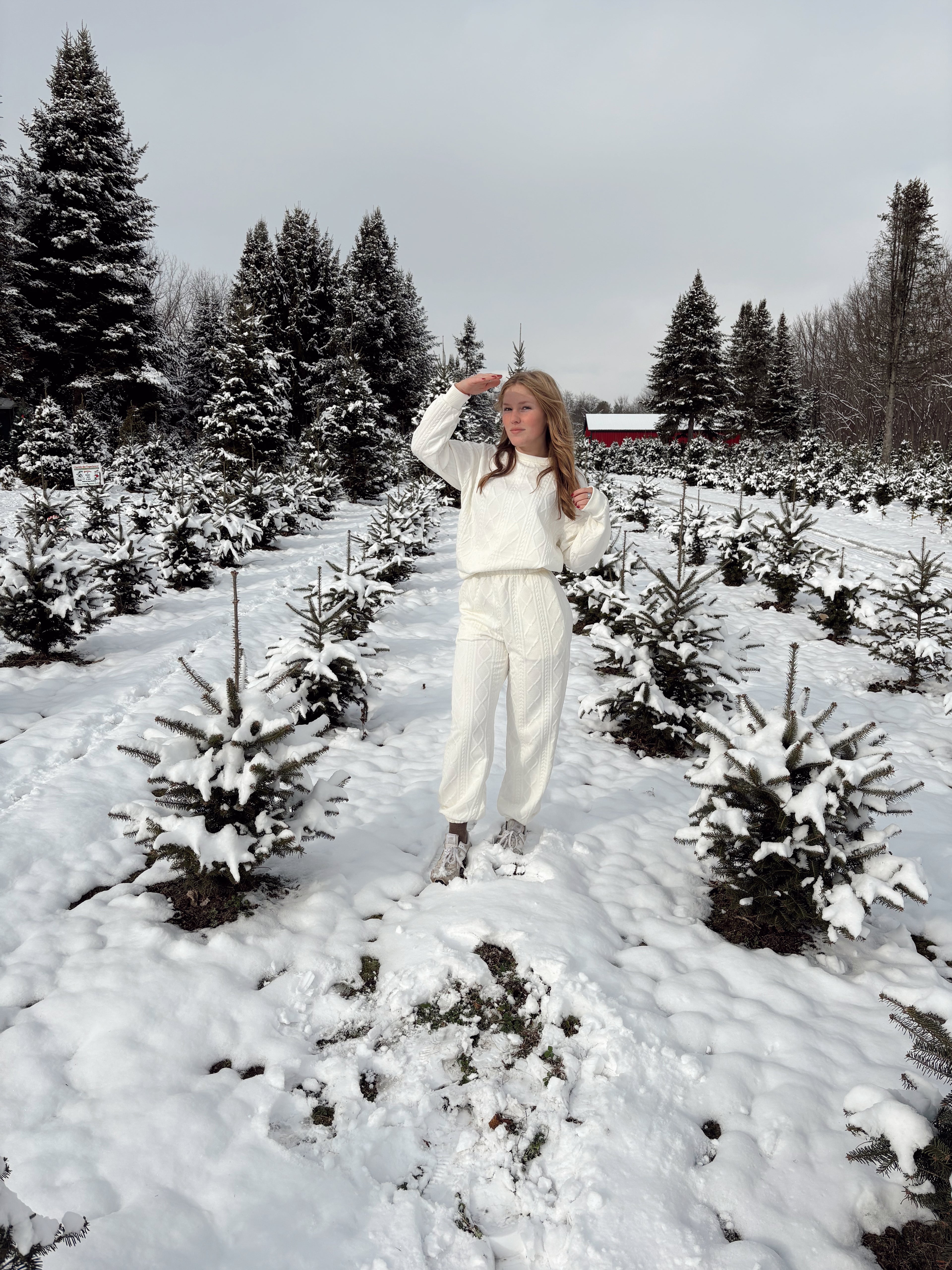 Snowflake Dreamer Set