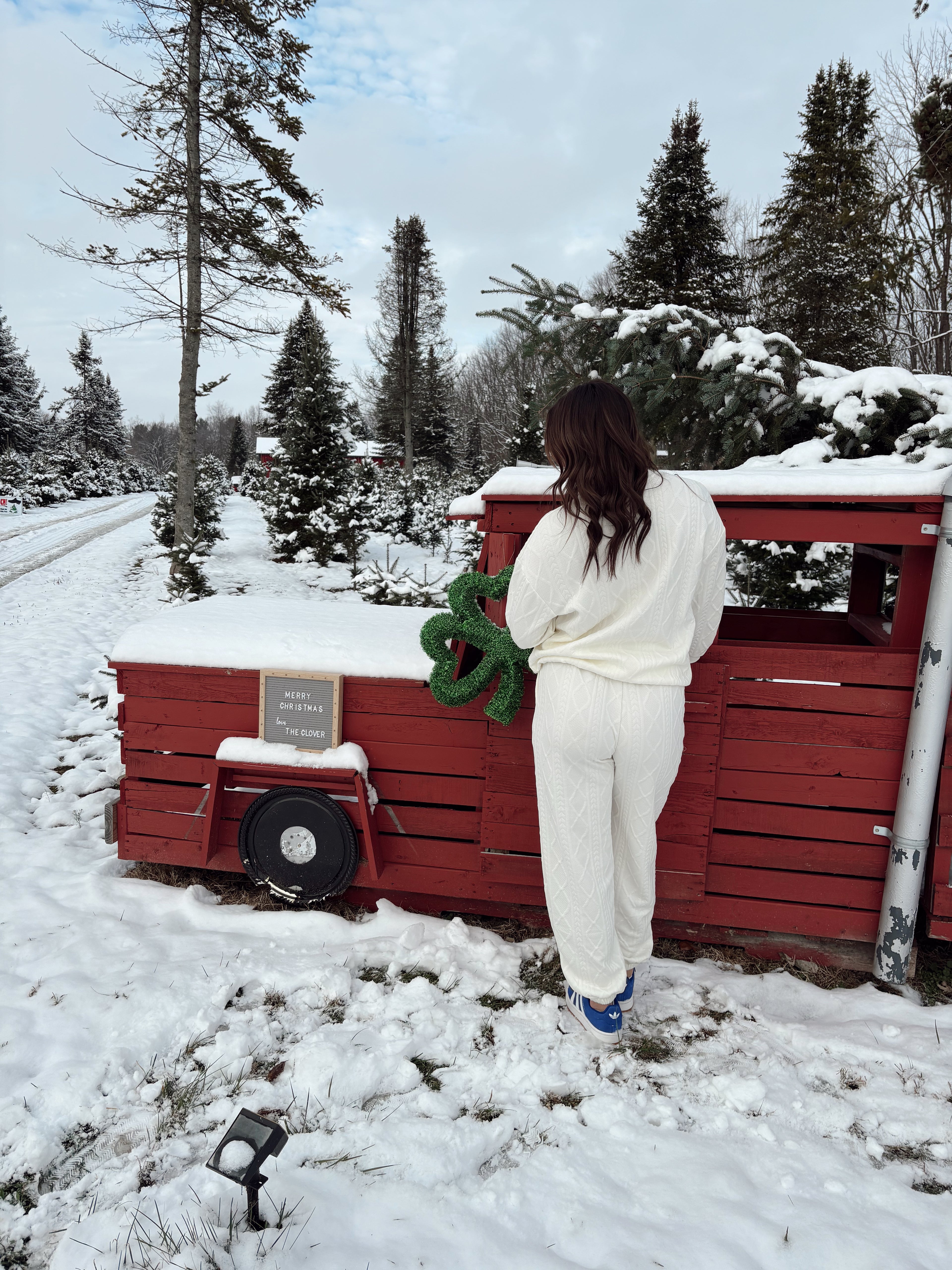 Snowflake Dreamer Set