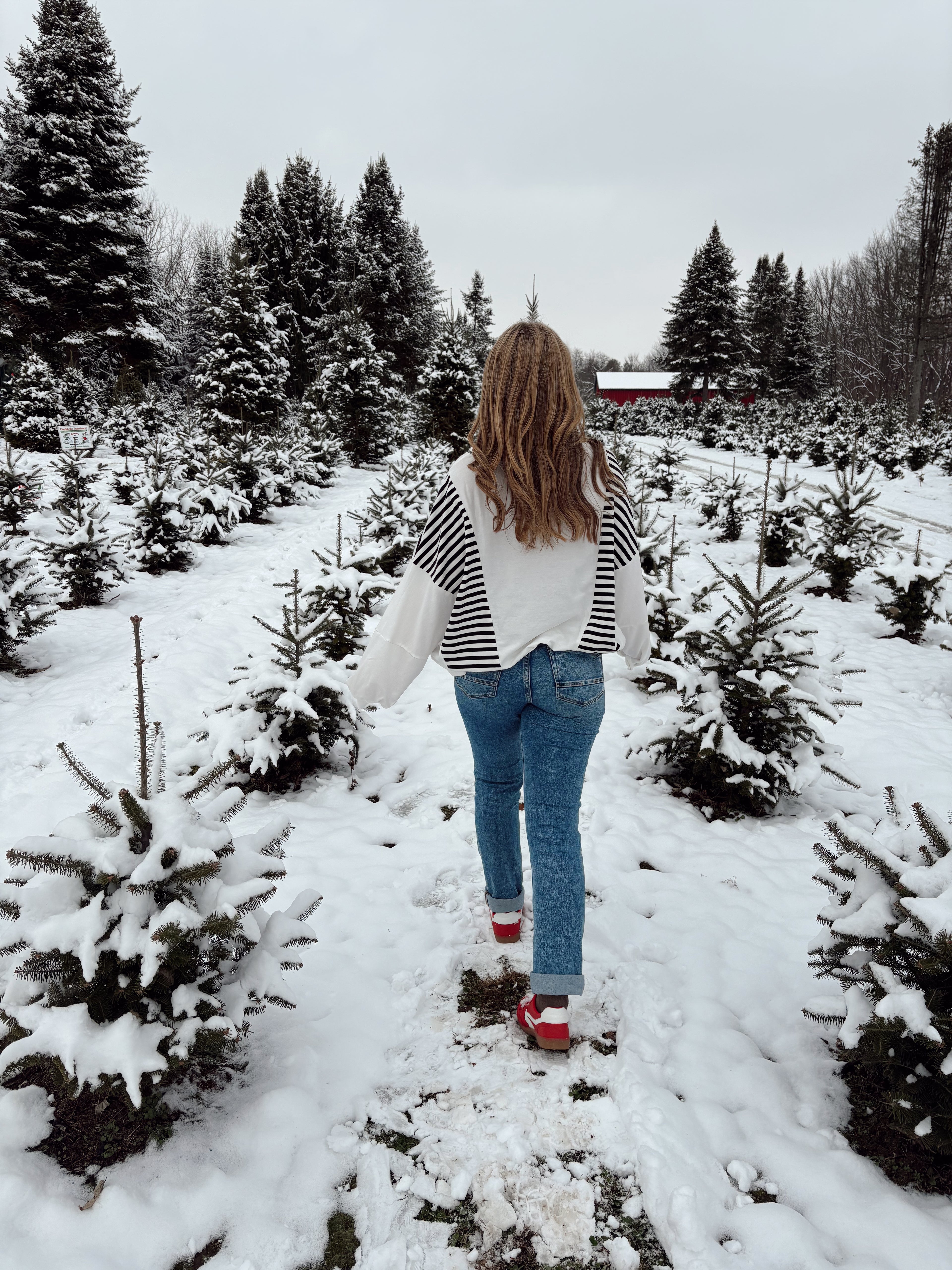Black Ice Striped Sweater