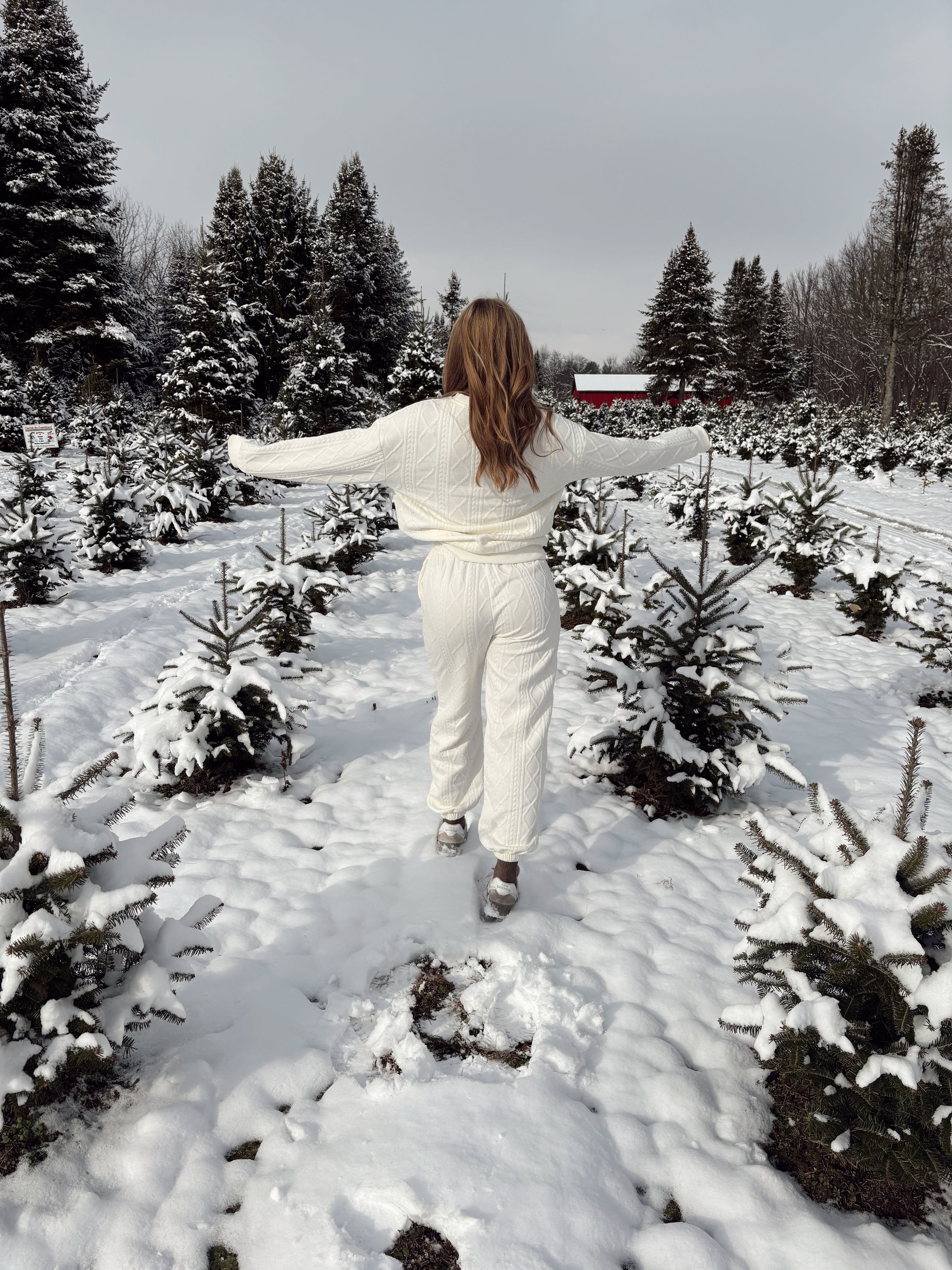 Snowflake Dreamer Set