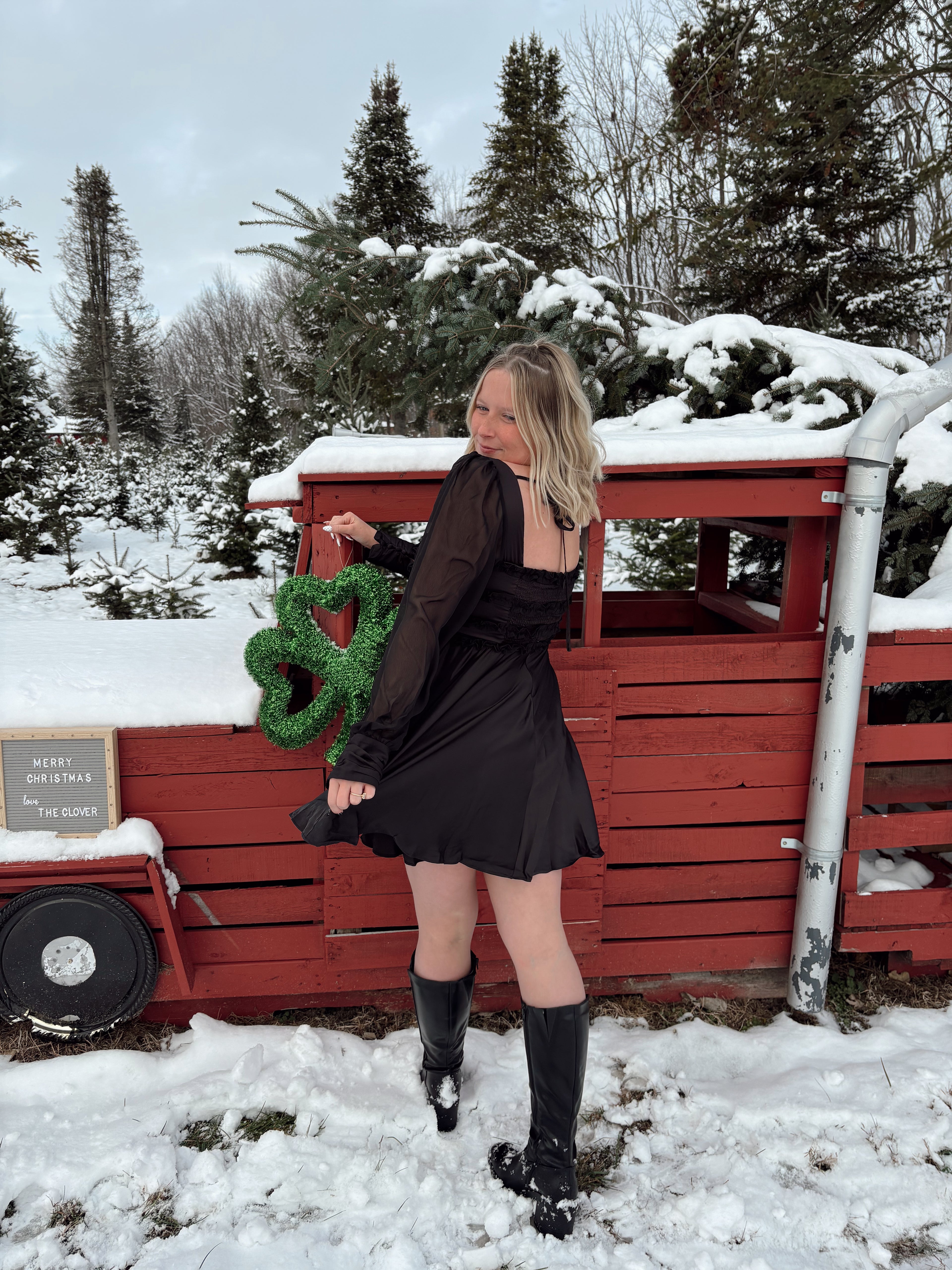 Midnight Mistletoe Satin Dress