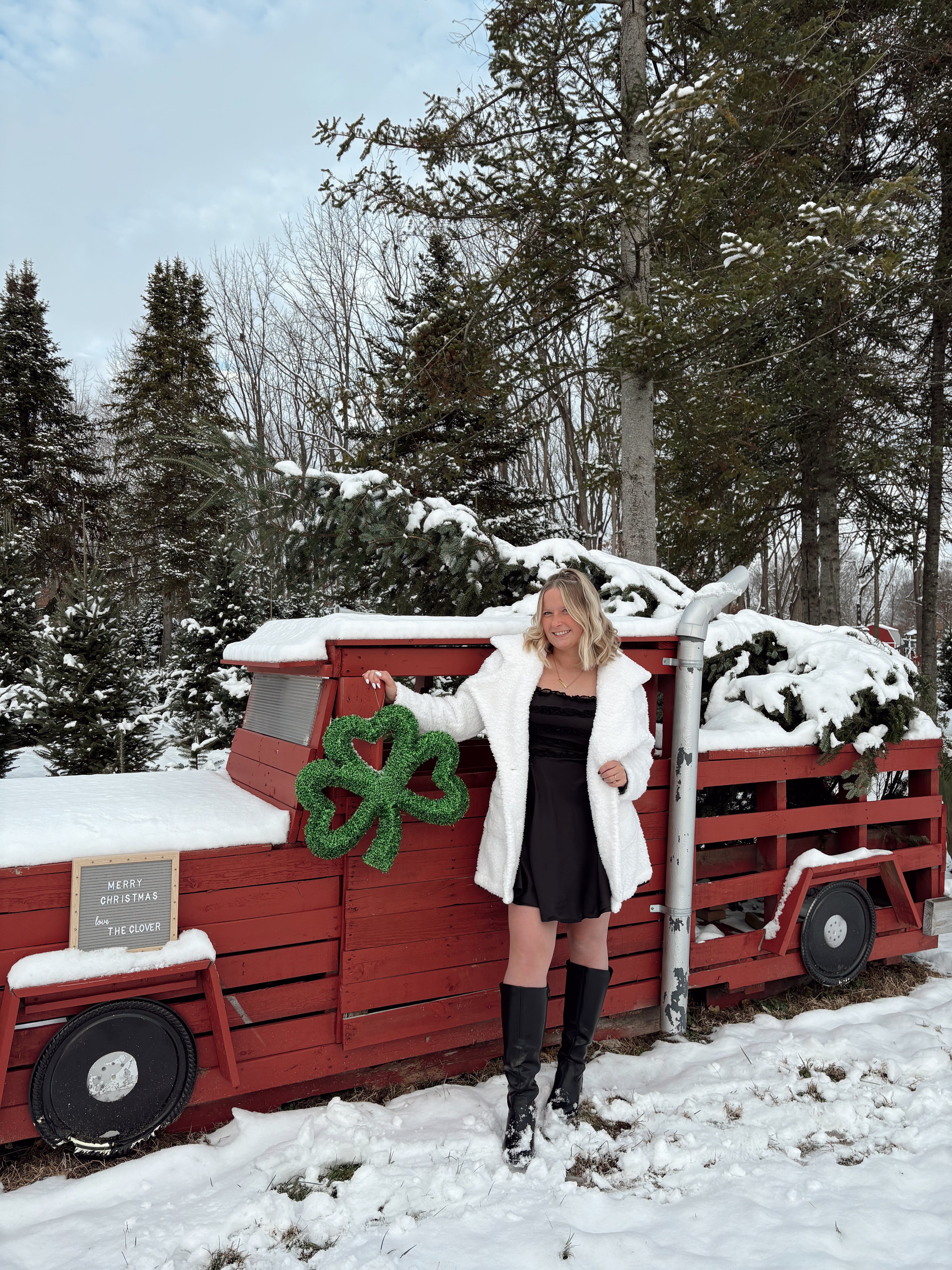 Midnight Mistletoe Satin Dress